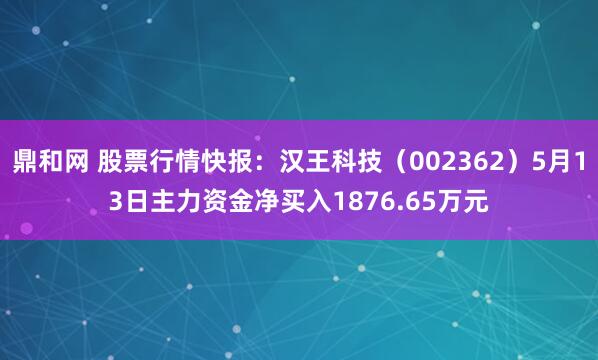 鼎和网 股票行情快报:汉王科技(002362)5月13日主力资金净买入1876.65万元
