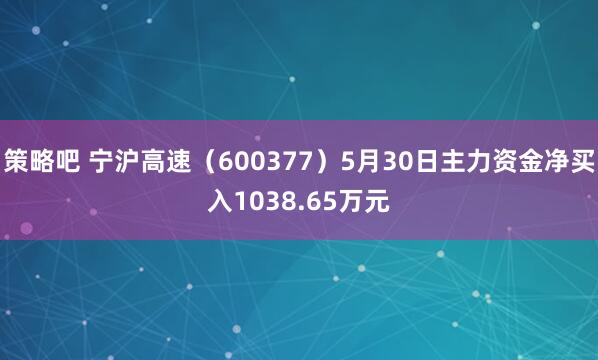 策略吧 宁沪高速（600377）5月30日主力资金净买入1038.65万元