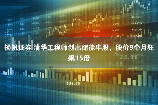 扬帆证券 清华工程师创出储能牛股，股价9个月狂飙15倍