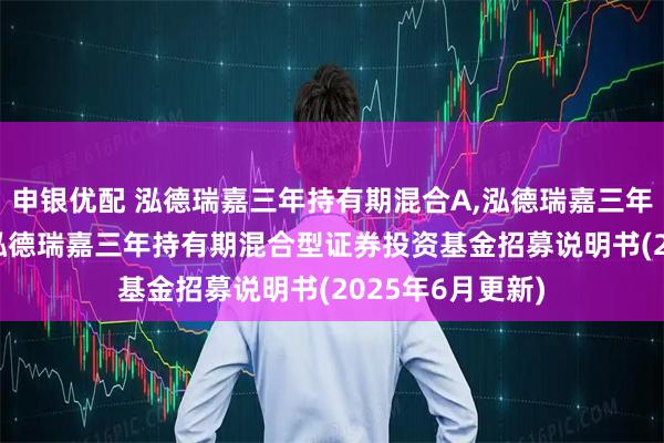 申银优配 泓德瑞嘉三年持有期混合A,泓德瑞嘉三年持有期混合C: 泓德瑞嘉三年持有期混合型证券投资基金招募说明书(2025年6月更新)