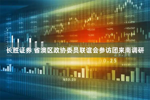 长胜证券 省澳区政协委员联谊会参访团来南调研